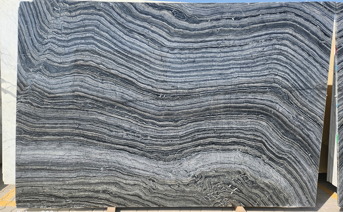 Silver Wave 
