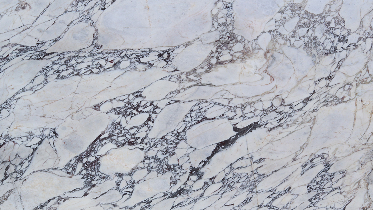 Calacatta Viola Marble UAE