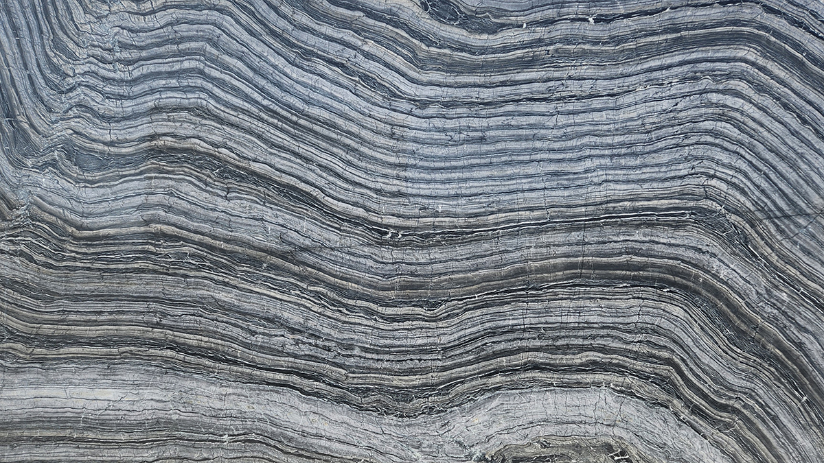 Silver Wave 