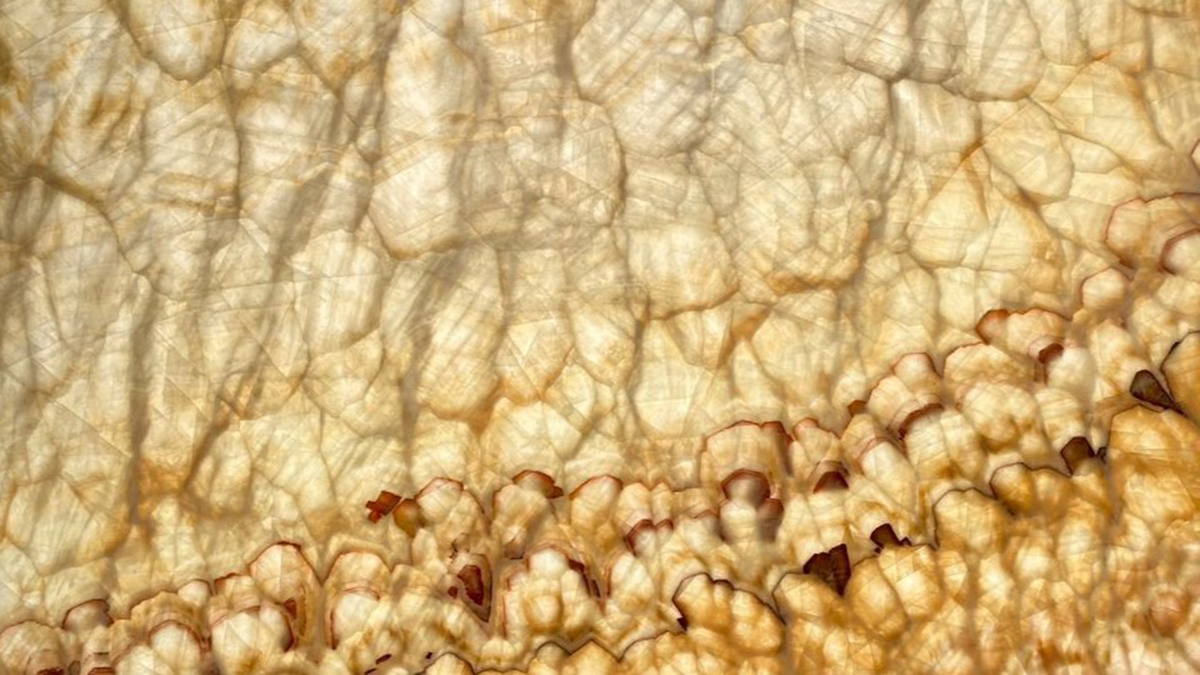 Beige Onyx Marble UAE